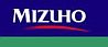 Mizuho Financial Group